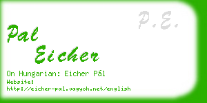 pal eicher business card